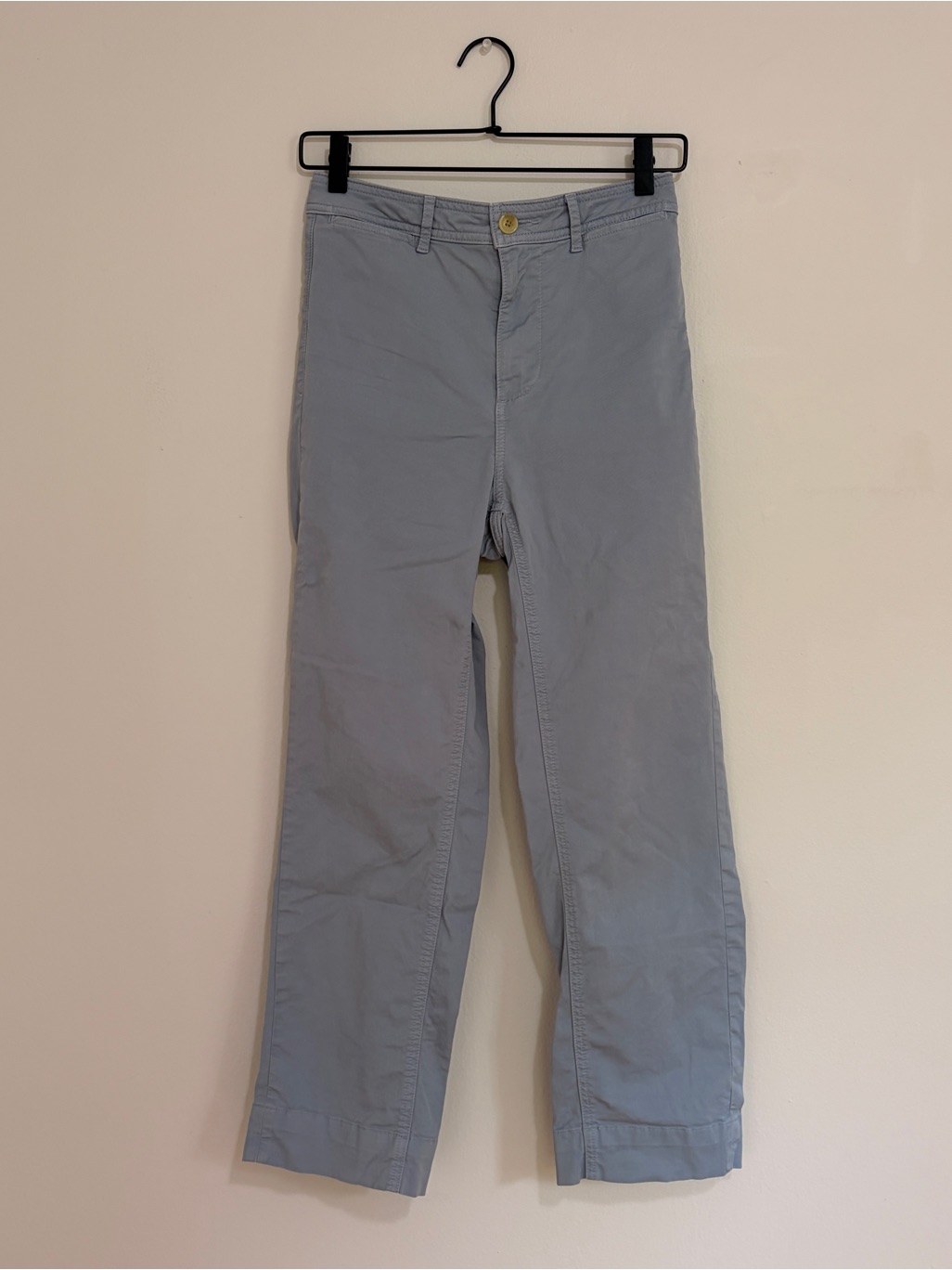Everlane Lightweight Straight Leg Crop Chino Pant (Size 0, Light Horizon/Blue)